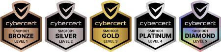 cybercert badges